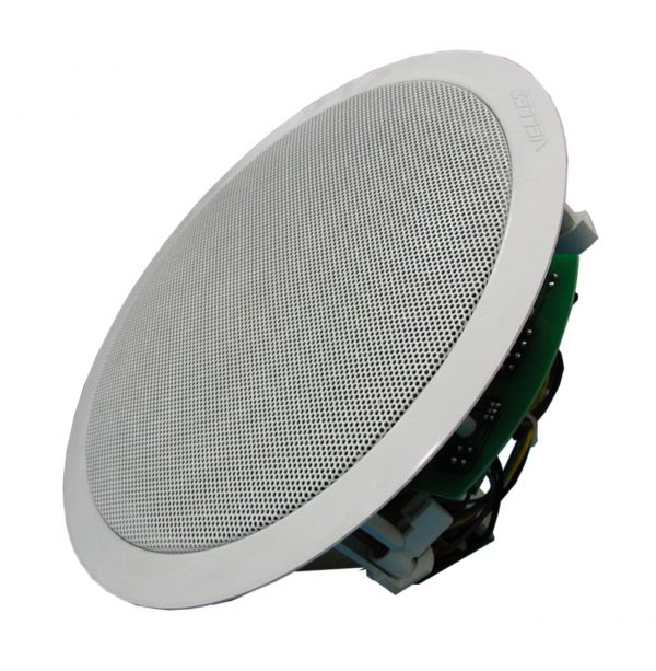 Гучномовець стельовий 20АС100ПП