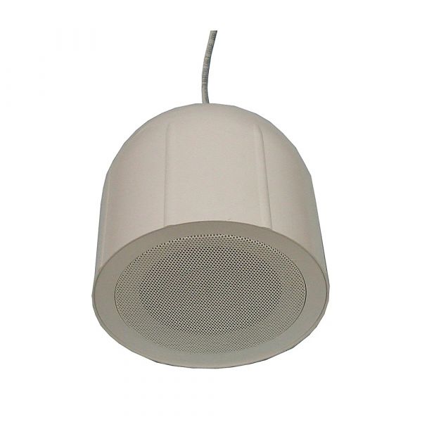 Гучномовець підвісний 6АСК100ПП