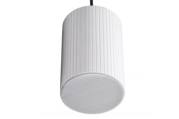 Гучномовець стельовий Fonte 6w ПВ